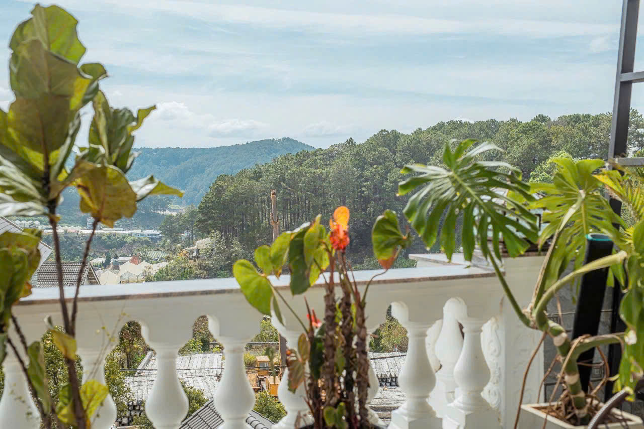 Villa An Sơn Vũ Gia - ảnh 10