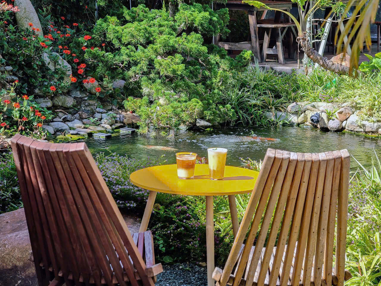 Homestay Hoàng Hoa Thám - ảnh 2