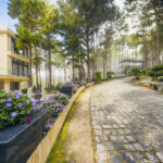 Villa Hồ Tuyền Lâm Cá Heo - ảnh nhỏ 11