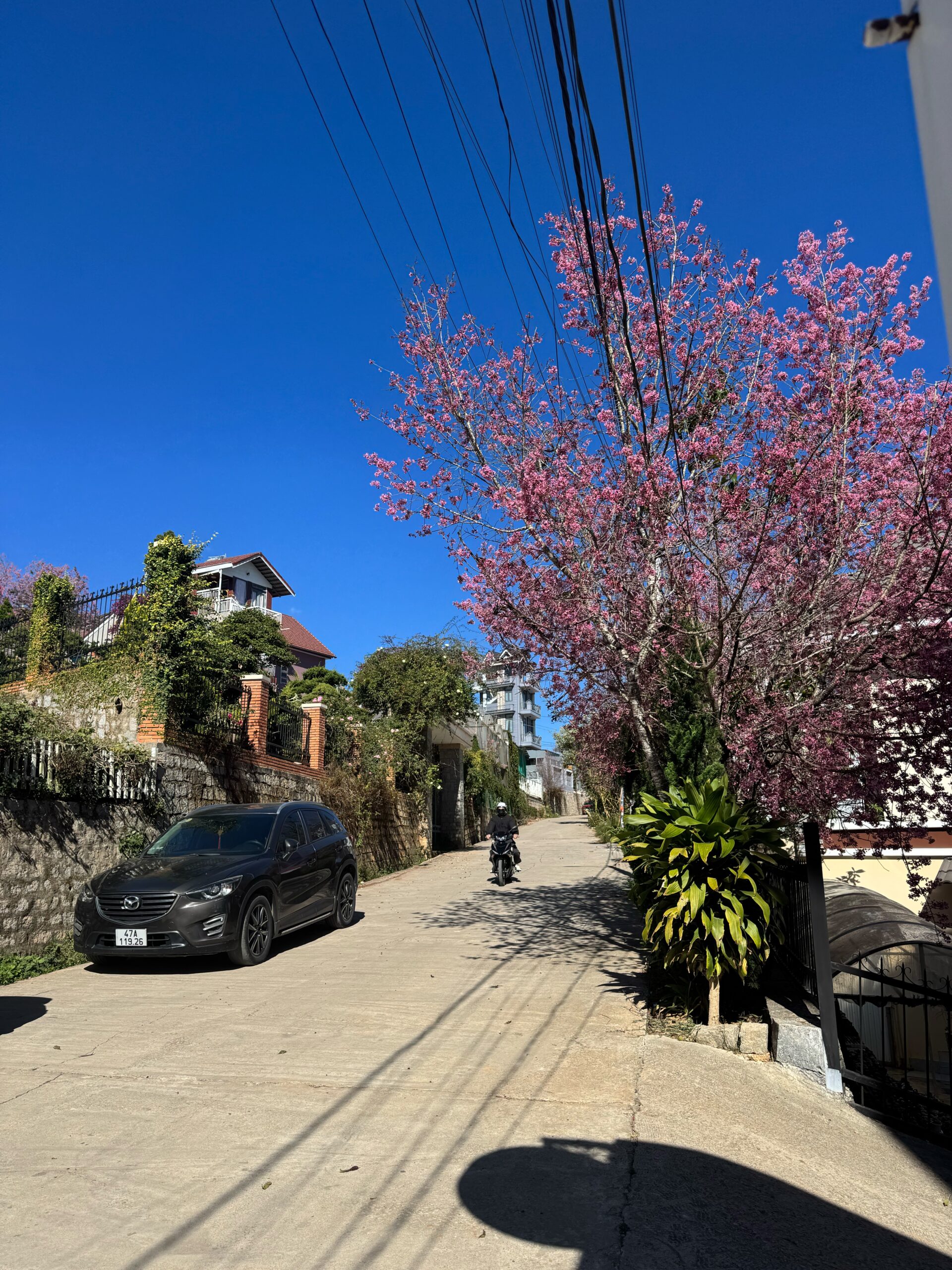 Căn Xanh – Villa Đà Lạt - ảnh 10