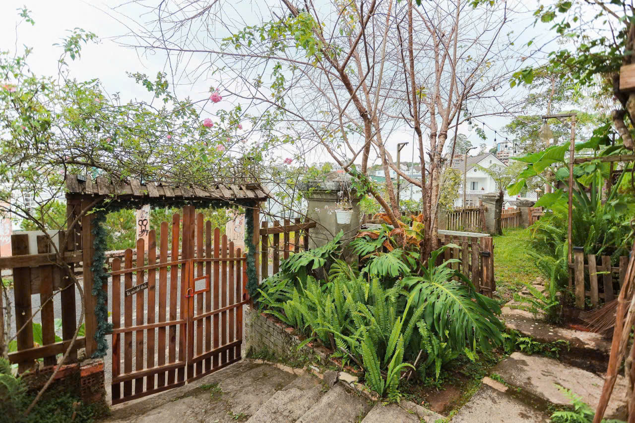 🍃 NHÀ GỖ SÂN VƯỜN THẢNH THƠI - ảnh 3